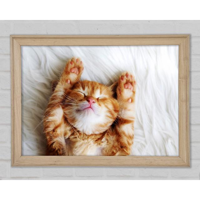 Cat Snooze - Single Picture Frame Art Prints Ebern Designs Size: 42cm H x 59.7cm W x 1.5cm D on Productcaster.