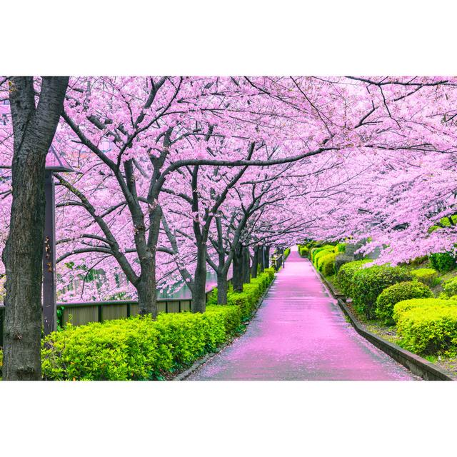 Lynnley Walkway Under The Sakura Tree Which Is The Romantic Atmosphere Scene In Tokyo Japan - Wrapped Canvas Print Ebern Designs Size: 51cm H x 76cm W on Productcaster.