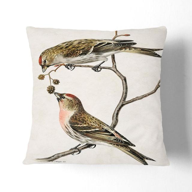 Common Linnet Birds by Von Wright Cushion with Filling East Urban Home Size: 40cm H x 40cm W x 15cm D, Backing Colour: Black on Productcaster.