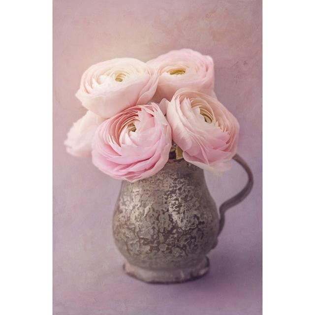 Deltana Pink Ranunculus - Wrapped Canvas Photograph Fairmont Park Size: 30cm H x 20cm W x 3.8cm D on Productcaster.