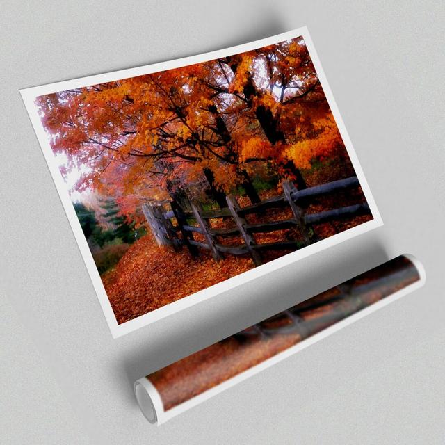 Orange Autumn Leaves - Photograph Print on Paper East Urban Home Size: 42 cm H x 59.4 cm W on Productcaster.