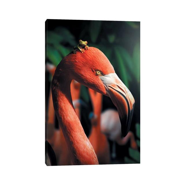 Frogmingo by Zenja Gammer - Photograph Print on Canvas Bay Isle Home Format: Wrapped Canvas, Size: 30.48cm H x 20.32cm W x 1.91cm D on Productcaster.