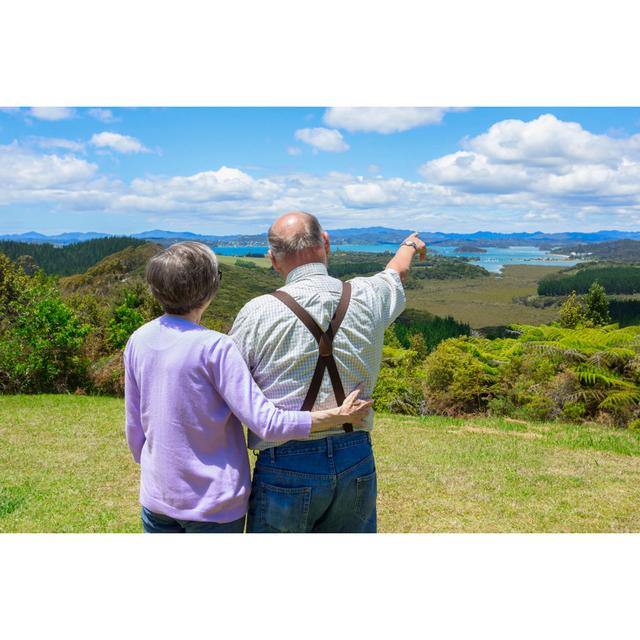 Senior Couple by Yobro10 - Wrapped Canvas Photograph 17 Stories Size: 61cm H x 91cm W on Productcaster.