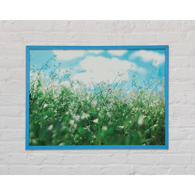 Wild Flowers in the Spring Meadow - Single Picture Frame Art Prints August Grove Size: 59.7cm H x 84.1cm W on Productcaster.