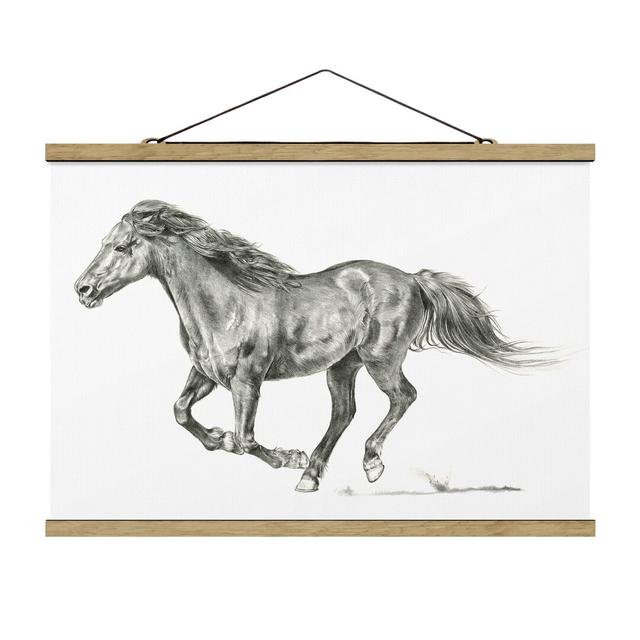 Wild Horse Study - Mare - Graphic Art Gracie Oaks Size: 53.5cm H x 80cm W x 0.3cm D on Productcaster.