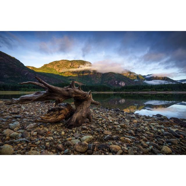 Fika Buttle Lake, Vancouver Island - Wrapped Canvas Print Alpen Home Size: 30cm H x 46cm W x 3.8cm D on Productcaster.