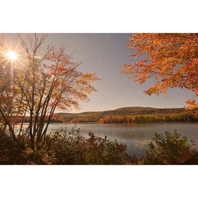 Cheshire Lake by Jdwfoto - Wrapped Canvas Photograph 17 Stories Size: 30cm H x 46cm W on Productcaster.