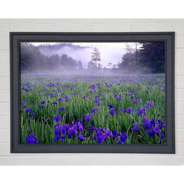 Bluebell Mist Framed Print Wall Art Fleur De Lis Living Size: 21cm H x 29.7cm W x 1.5cm D, Format: Grey Framed Paper on Productcaster.