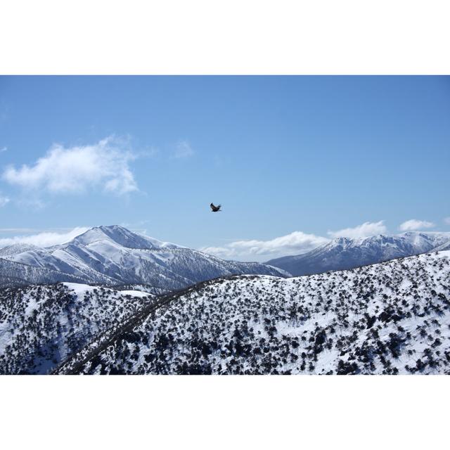 Eagle Flying Above Mountains by Jamescallander - Wrapped Canvas Photograph Alpen Home Size: 81cm H x 122cm W on Productcaster.