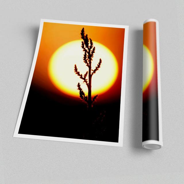 Stunning Sun Glow Orange Seascape Print Poster - Graphic Art on Paper" East Urban Home Size: 59.4 cm H x 84.1cm W on Productcaster.