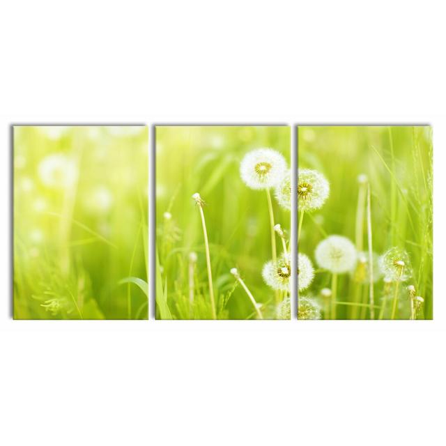 Dandelions 3-Piece Photograph Set on Canvas East Urban Home Size: 100 cm H x 210 cm W on Productcaster.