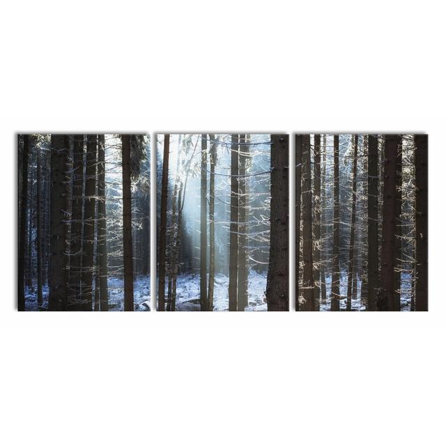 Wintery Forest Photographic Art Print Multi-Piece Image on Canvas East Urban Home Size: 80cm H x 180cm W on Productcaster.