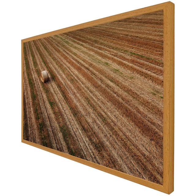 Danis Aerial View Of Hay Bale Fields - Single Picture Frame Print Latitude Run Frame Option: Oak Framed, Size: 61cm H x 91cm W x 4cm D on Productcaster.