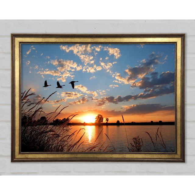 Swans Flying Over The Lake Framed Print Highland Dunes Size: 84.1cm H x 118.9cm W x 1.5cm D on Productcaster.