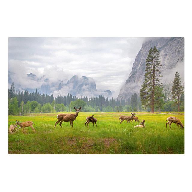 Deer in the Mountains - Wrapped Canvas Photograph Union Rustic Size: 60cm H x 90cm W on Productcaster.