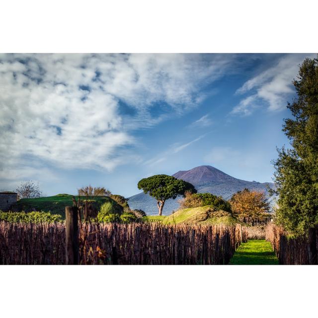 Vesuvius And The Vineyard Alpen Home Size: 81cm H x 122cm W 3.8cm D on Productcaster.