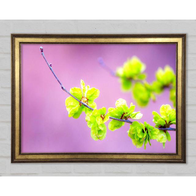 Small Green Flowers Framed Print Latitude Run Size: 29.7cm H x 42cm W x 1.5cm D on Productcaster.