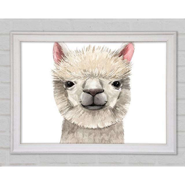 Llama Drama - Print Latitude Vive Size: 59.7cm H x 84.1cm W x 1.5cm D on Productcaster.