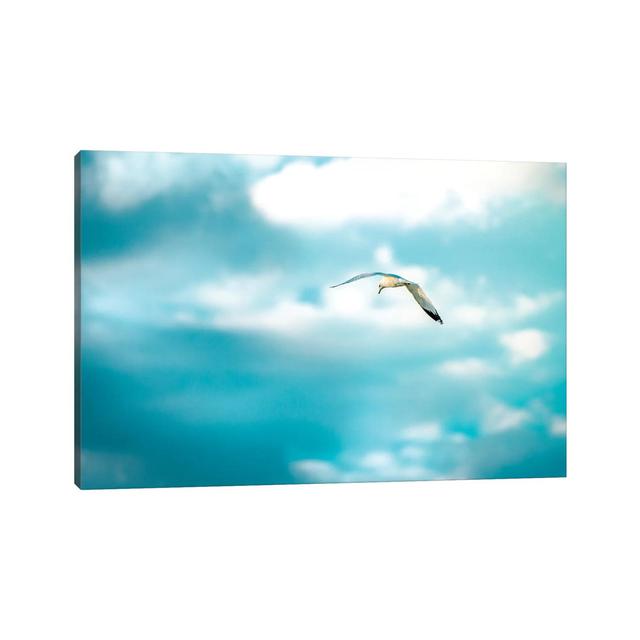 Milky Sky Shooting Seagull by Nik Rave - Wrapped Canvas Gallery-Wrapped Canvas Giclée Latitude Run Size: 45.72cm H x 66.04cm W x 3.81cm D on Productcaster.