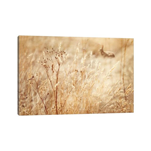 Rabbit in the Grass by Ros Berryman - Wrapped Canvas Photograph ClassicLiving Size: 101.6cm H x 152.4cm W x 3.81cm D on Productcaster.