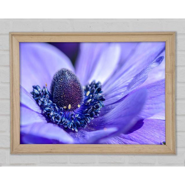 Purple Flower Inside Detail - Single Picture Frame Art Prints Ebern Designs Size: 42cm H x 59.7cm W x 1.5cm D on Productcaster.