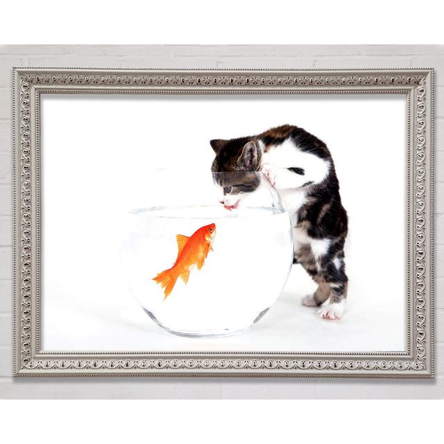 Kitten VS Fish Framed Print Brayden Studio Size: 100cm H x 141.4cm W on Productcaster.