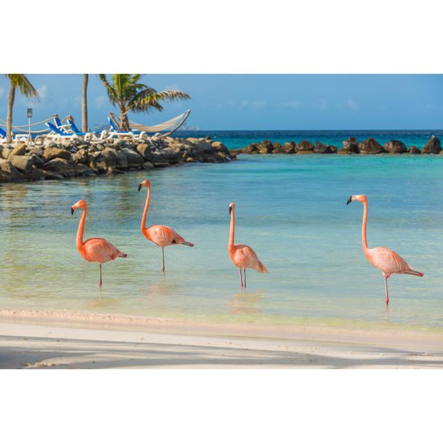 Four Flamingos - Wrapped Canvas Photograph Bay Isle Home Size: 20cm H x 30cm W x 3.8cm D on Productcaster.