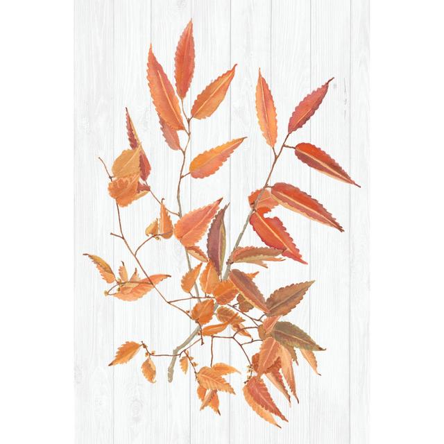 Sweet Foliage I by Dianne Miller - Graphic Art on Marlow Home Co. Size: 46cm H x 30cm W x 3.8cm D on Productcaster.