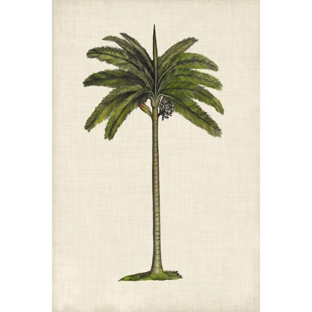 UA CH British Palms IV by - on Bay Isle Home Size: 46cm H x 30cm W x 3.8cm D on Productcaster.