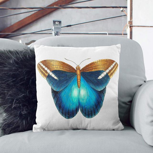 Idomeneus Butterfly by George Shaw Cushion with Filling East Urban Home Size: 55cm H x 55cm W x 20cm D, Backing Colour: Black on Productcaster.