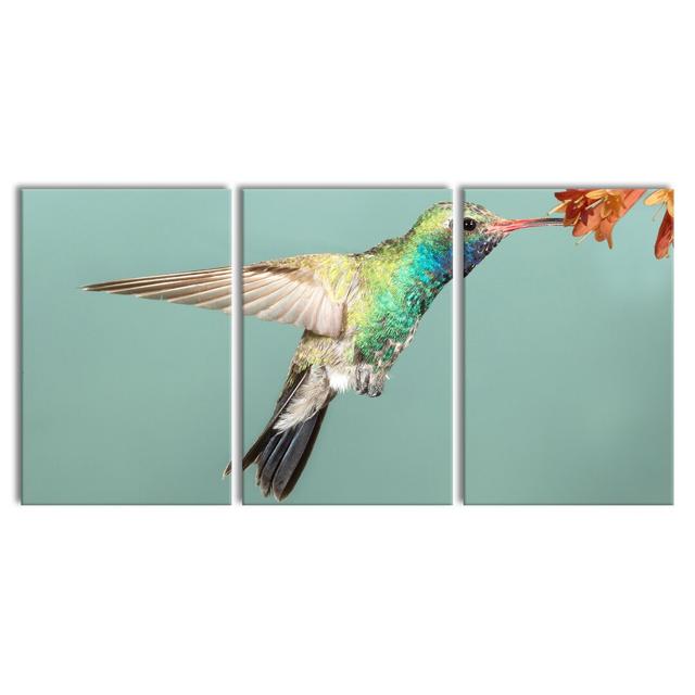 Bunter Kolibri - 3 Piece Wrapped Canvas Print East Urban Home Size: 120cm H x 240cm W on Productcaster.