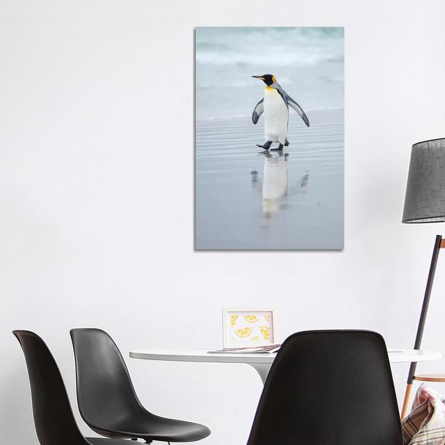 King Penguin On Falkland Islands.-MZW236 House of Hampton Size: 101.6cm H x 66.04cm W x 3.81cm D on Productcaster.