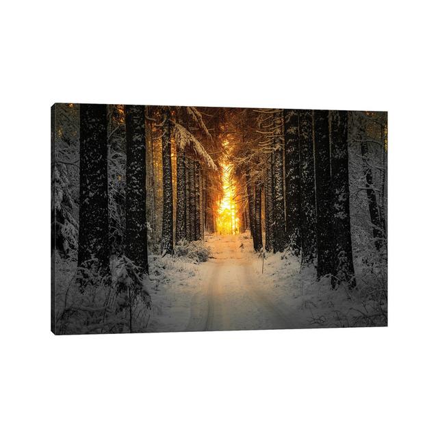 Golden Winter Light by Lauri Lohi - Wrapped Canvas Print Alpen Home Size: 30.48cm H x 45.72cm W x 1.91cm D on Productcaster.