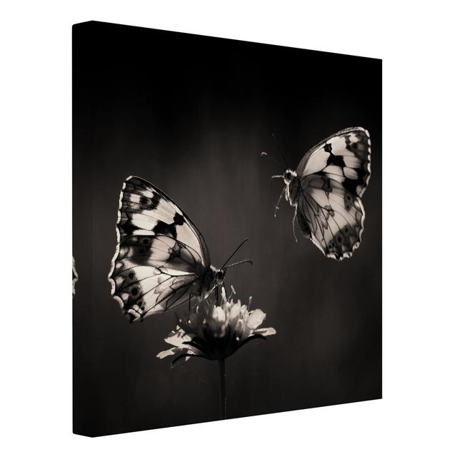 Black & White Butterflies Photographic Print on Canvas East Urban Home Size: 60cm L x 60cm W on Productcaster.