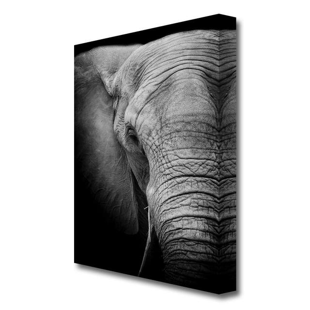 Elephant Power Wildlife - Wrapped Canvas Photograph Print East Urban Home Size: 101.6 cm H x 66 cm W on Productcaster.