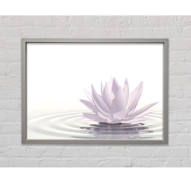 Weißer Lotus auf gekräuseltem Wasser - Einzelner Bilderrahmen Kunstdrucke auf Leinwand Bright Star Größe: 59,1 cm H x 84,1 cm B x 3,3 cm T on Productcaster.