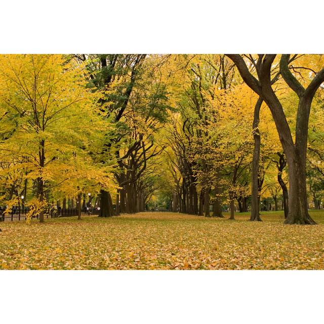 Autumn In Central Park by Zxvisual - Wrapped Canvas Art Prints Alpen Home Size: 51cm H x 76cm W on Productcaster.