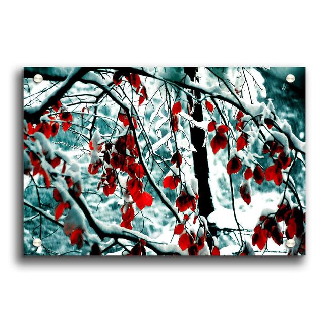 Snow Leaves Flowers - Unframed Photograph Print on Acrylic East Urban Home Size: 59.4cm H x 84.1cm W on Productcaster.