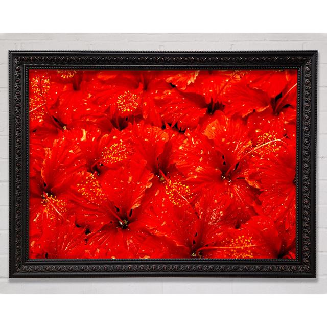 An Ocean Of Red Leaves Framed Print Bright Star Size: 84.1cm H x 118.9cm W on Productcaster.