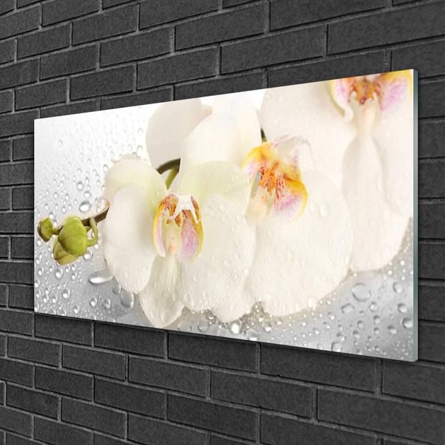 Glass Print Wall Art 100X50cm Image Printed On Glass Decorative Wall Picture Behind Toughened / Tempered Safety Real Glass For Kitchen & Living Room T on Productcaster.