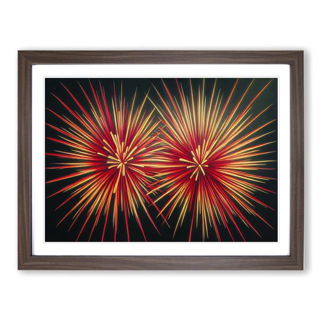 Feisty Fireworks - Picture Frame Graphic Art Metro Lane Size: 34cm H x 46cm W x 2cm D, Frame Colour: Walnut on Productcaster.