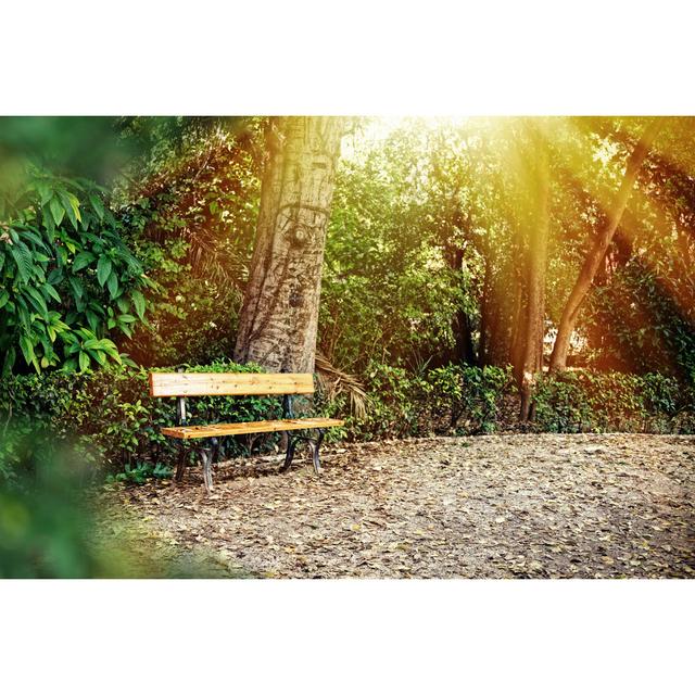 Bench At The Park In Autumn With Warm Sun Rays by Vasiliki - No Frame Art Prints on Canvas 17 Stories Size: 20cm H x 30cm W on Productcaster.