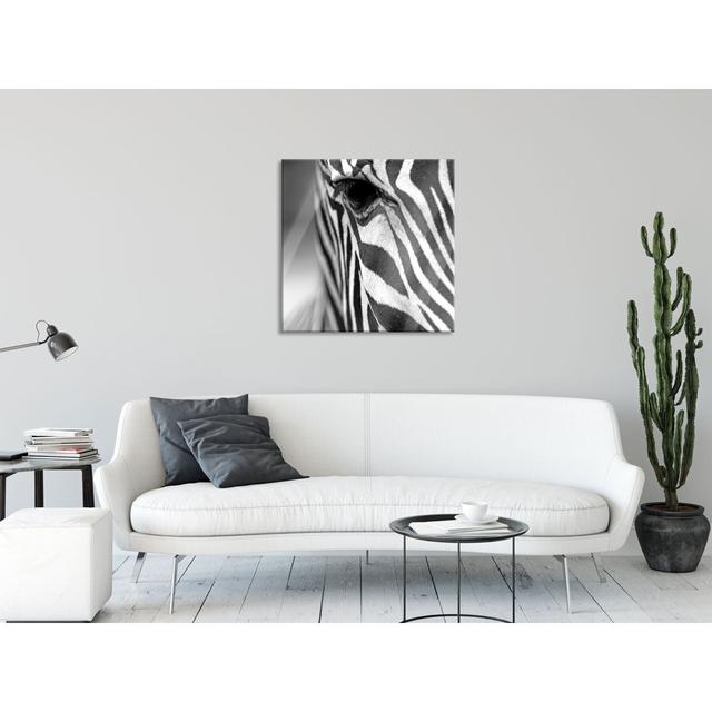 Close-Up Zebra - Unframed Photograph on Glass Ebern Designs Size: 80cm H x 80cm W x 0.4cm D on Productcaster.