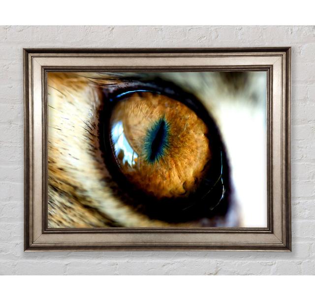 Mordor Eye - Single Picture Frame Art Prints Bright Star Size: 21cm H x 42cm W x 8cm D on Productcaster.