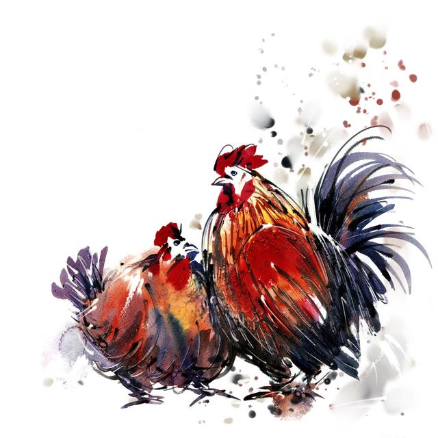 Aquarell Huhn 616015362 - Druck Brambly Cottage Größe: 60 cm H x 60 cm B x 1,8 cm T on Productcaster.