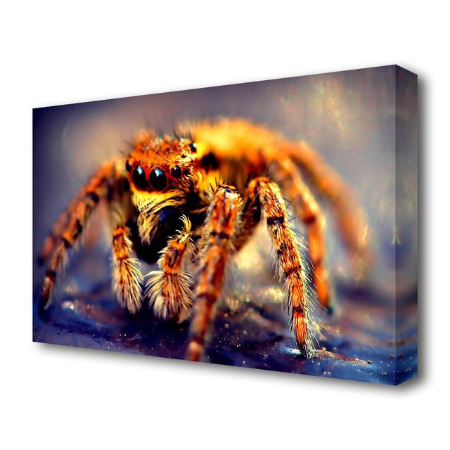 'Spider Close-Up Wild Life' Graphic Art Print on Canvas East Urban Home Size: 66 cm H x 101.6 cm W on Productcaster.