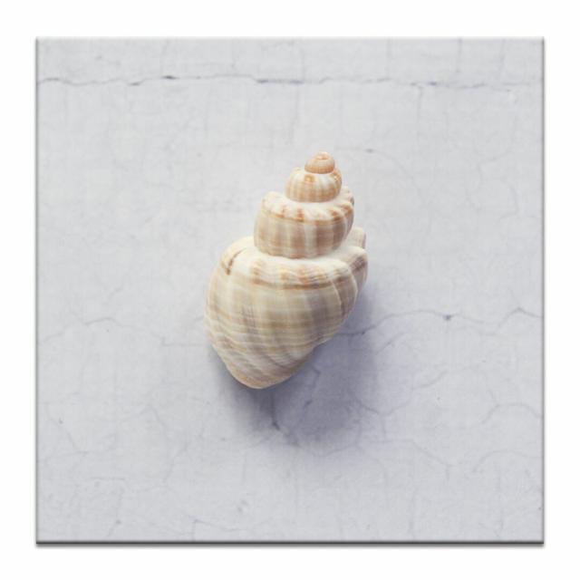 White Drill by Emma Relph Photographic Print on Canvas East Urban Home Size: 41 cm H x 41 cm W on Productcaster.