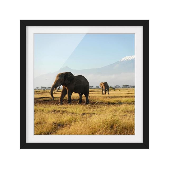 Elephants in Front of Kilimanjaro in Kenya Framed Photographic Art Print East Urban Home Frame Options: Matt black, Size: 70cm H x 70cm W on Productcaster.