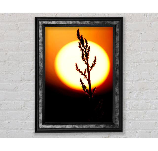 Stunning Sun Glow Orange - Single Picture Frame Art Prints Bright Star Size: 142.2cm H x 84.1cm W x 8cm D on Productcaster.