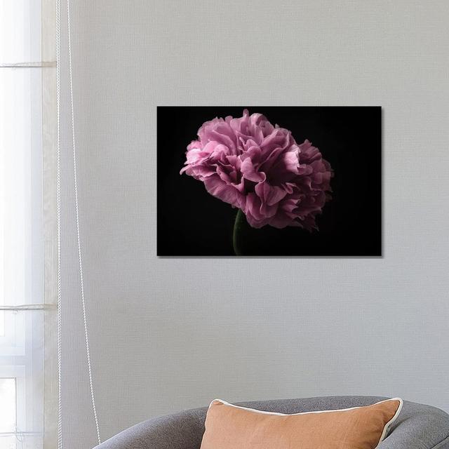 Poppy by Lotte Grønkjær - Wrapped Canvas Painting ClassicLiving Size: 45.72cm H x 66.04cm W x 1.9cm D on Productcaster.